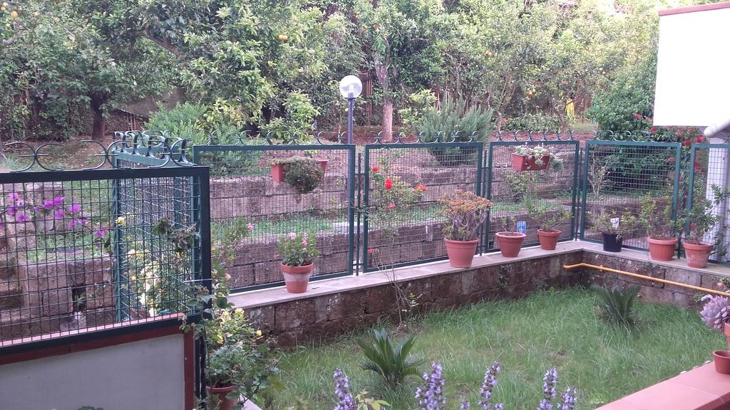 Bed and breakfast Il Giardino Di Montariello Península Sorrentina
